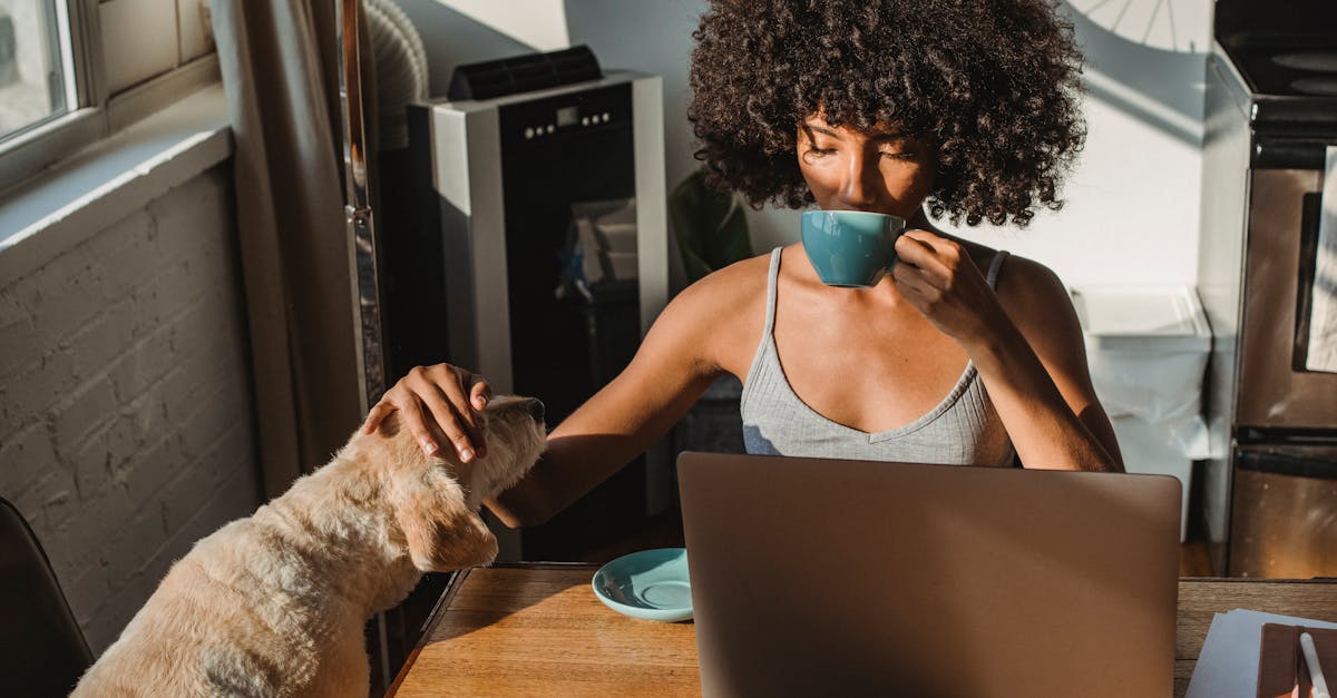 Pequeno empresário usando celular para aplicar estratégias no Instagram