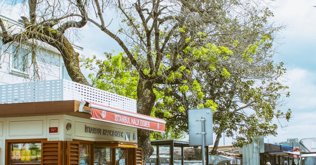 Pequeno empresário utilizando automação em marketing local no Instagram