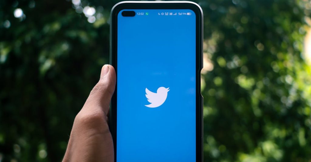 Tela de smartphone mostrando seguidores falsos nas redes sociais